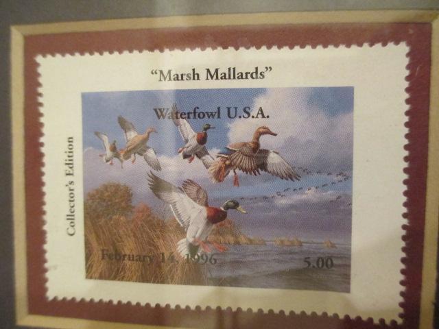 Framed and Matted Collector's Edition Print "Marsh Mallards" by David Maass, signed