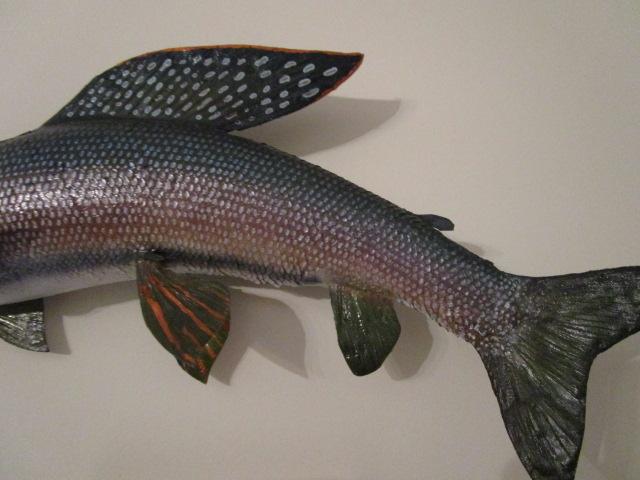 Arctic Grayling Full Body Taxidermy Mount with Wood Date/Location Plaque