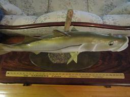 Full Body Tarpon Replica Fish Pedestal Mount with Wood Base