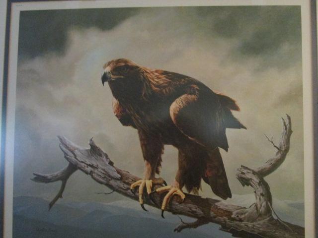 Signed/Framed "Golden Eagle" Print by Charles Frair