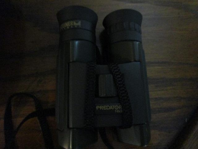 Steiner Germany Predator 10x26 Binoculars in Carry Case