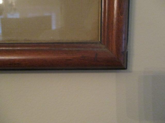 Framed/Matted Audubon N0. 47 "Long Billed Curlew" Engraving Artwork Print