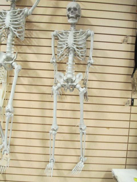 Hard Plastic Positional Skelton Halloween Decoration