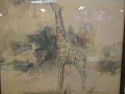 Framed Lion and Giraffe Prints