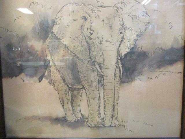 Framed Elephant and Rhinoceros Prints