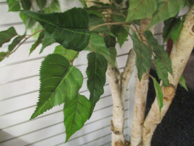 Artificial Birch Tree in Heavy Planter