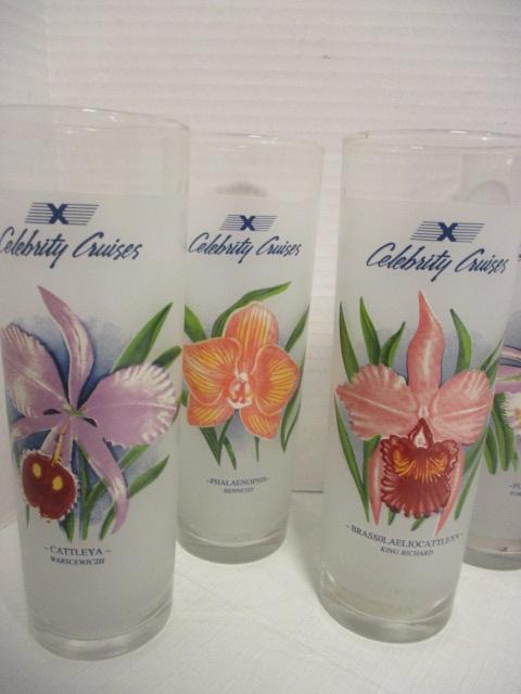 Eight Carnival Cruises Frosted Recipe Cocktail Glasses with Orchids