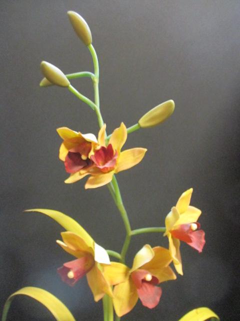 Artificial Orchid in Ceramic Planter