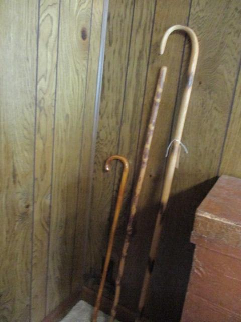 Three Walking Sticks and Canes