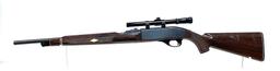 Remington Nylon 66 .22 LR Semi-Automatic Rifle with Scope