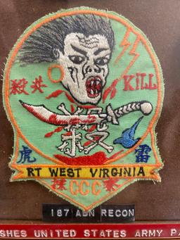 Vet Assembled Display - Wing Flashes US Army Paratroop Unit Patches ft. RARE RT WEST VIRGINIA PATCH