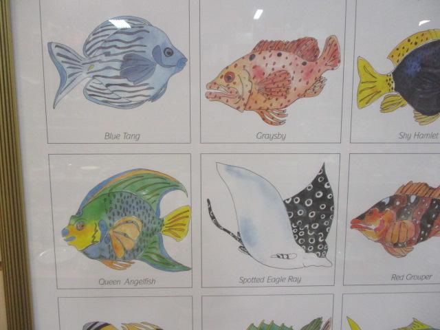 Framed Fish Print "Underwater Paradise Cayman Islands"
