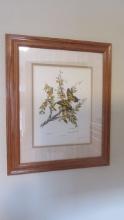 Helen R. Foseler Signed and Numbered "Tiger Swallowtail" Print