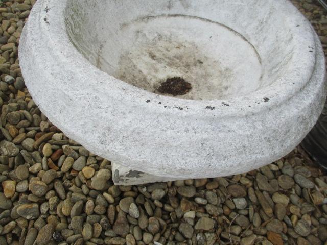 Painted Concrete Pedestal Planter