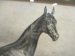 German "Olympia" Equestrian Lithograph of Etching