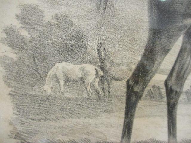 German "Olympia" Equestrian Lithograph of Etching