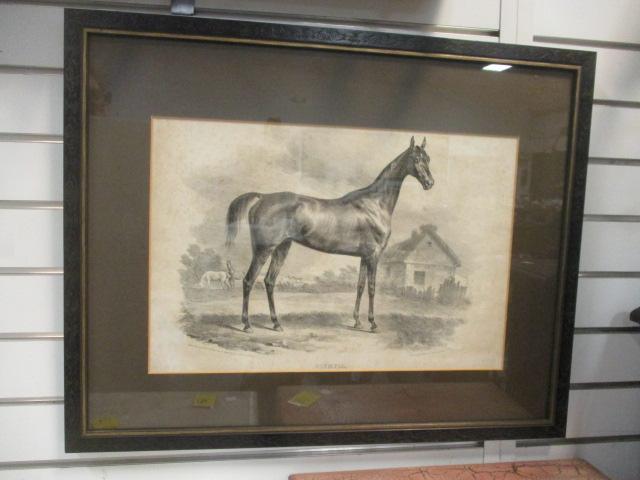 German "Olympia" Equestrian Lithograph of Etching