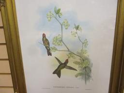 Ridgefield Inc. Framed Bird Prints 1989 (Lot of 2)