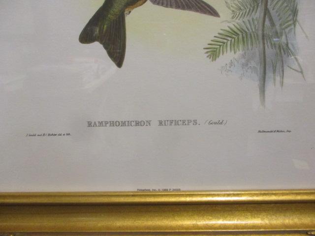 Ridgefield Inc. Framed Bird Prints 1989 (Lot of 2)