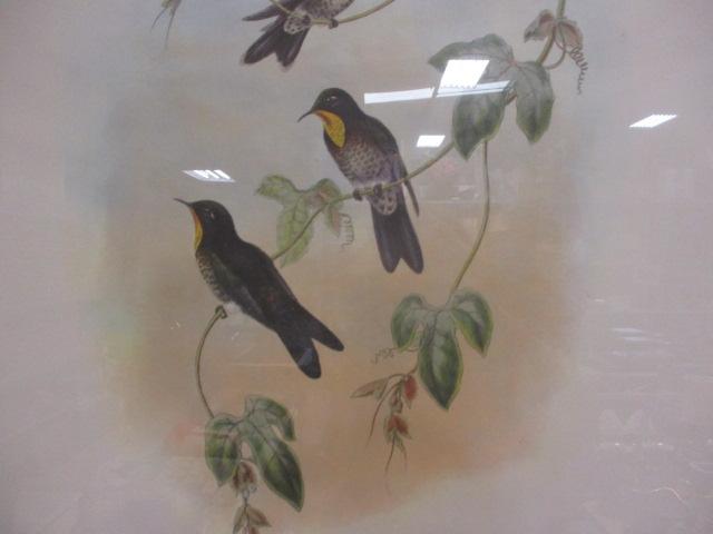 Ridgefield Inc. Framed Bird Prints 1989 (Lot of 2)