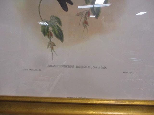 Ridgefield Inc. Framed Bird Prints 1989 (Lot of 2)