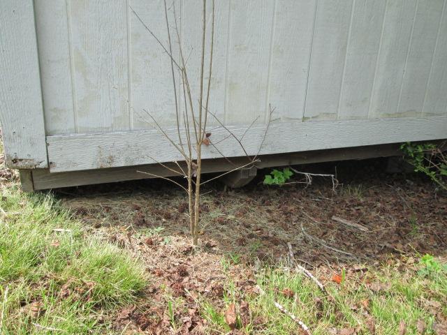 Storage Building with Unsearched Contents