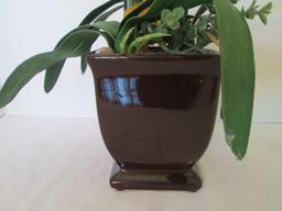 Artificial Orchid in Pottery Pot