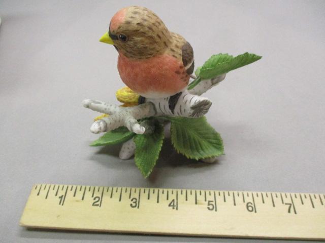 2003 Lenox "Common Redpoll"  Fine Porcelain Bird Figurine 4 1/2"