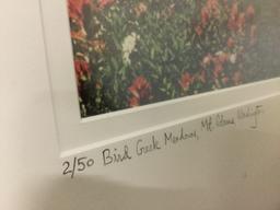 Framed photo print - signed & #'d 2/50 by Alan Bruce Zee - Bird Creek, Mt Adams, Washington