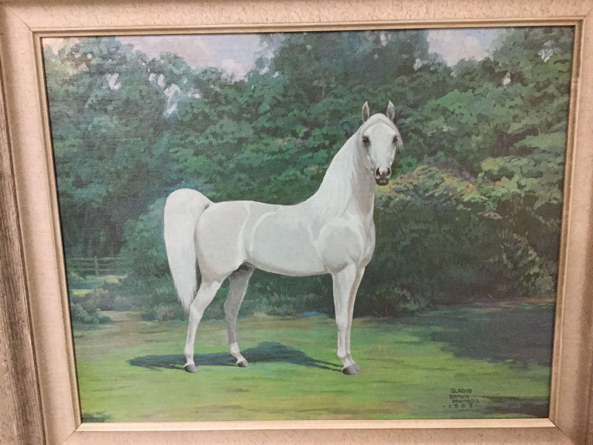 Framed original canvas painting of a white horse in a field signed Gladys Brown Edwards 1967