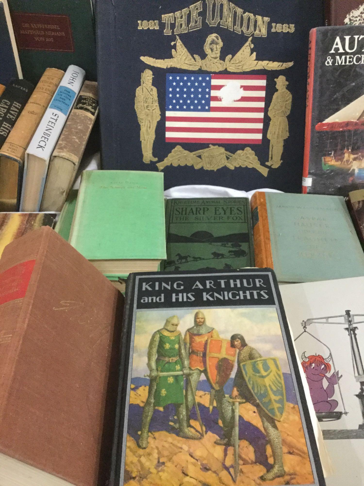 40+ books ranging in age from early 1900's to now - Hopalong Cassidy, Arthur, Shakespeare, etc see