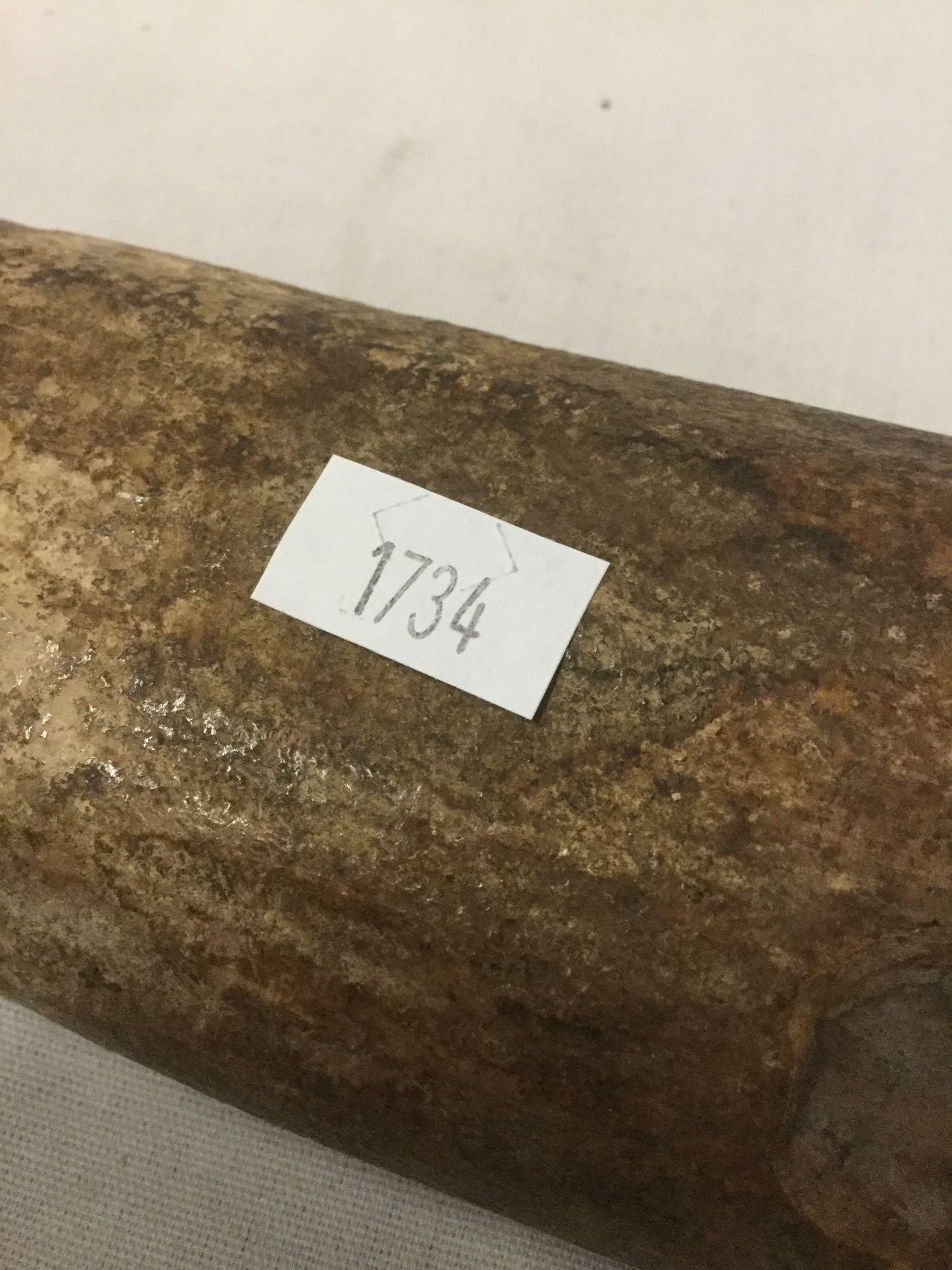 Fossilized walrus tusk found in Nome, Alaska in the 70's