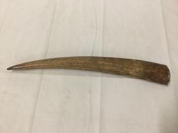 Fossilized walrus tusk found in Nome, Alaska in the 70's