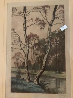Framed hand tinted vintage nature scene print signed by artist R. Fahey, approx 14x18 inches.