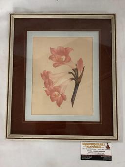 Vintage framed flower print artwork approximately 13 x 15 inches