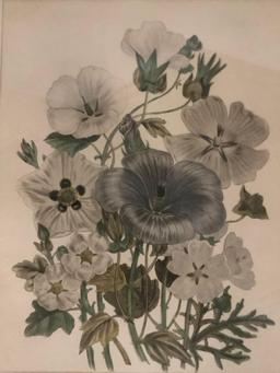 Vintage framed flower print artwork approximately 13 x 15 inches