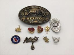 Collection of 9 pins and one belt buckle.