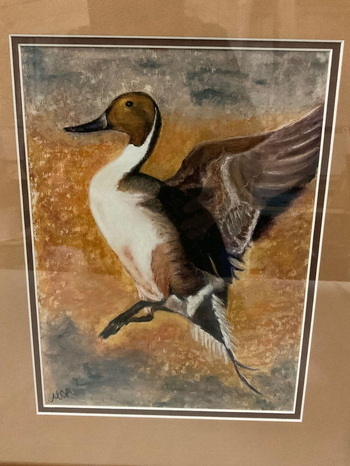 Framed Duck wildlife art print by artist MCA, approx 16 x 19 in.