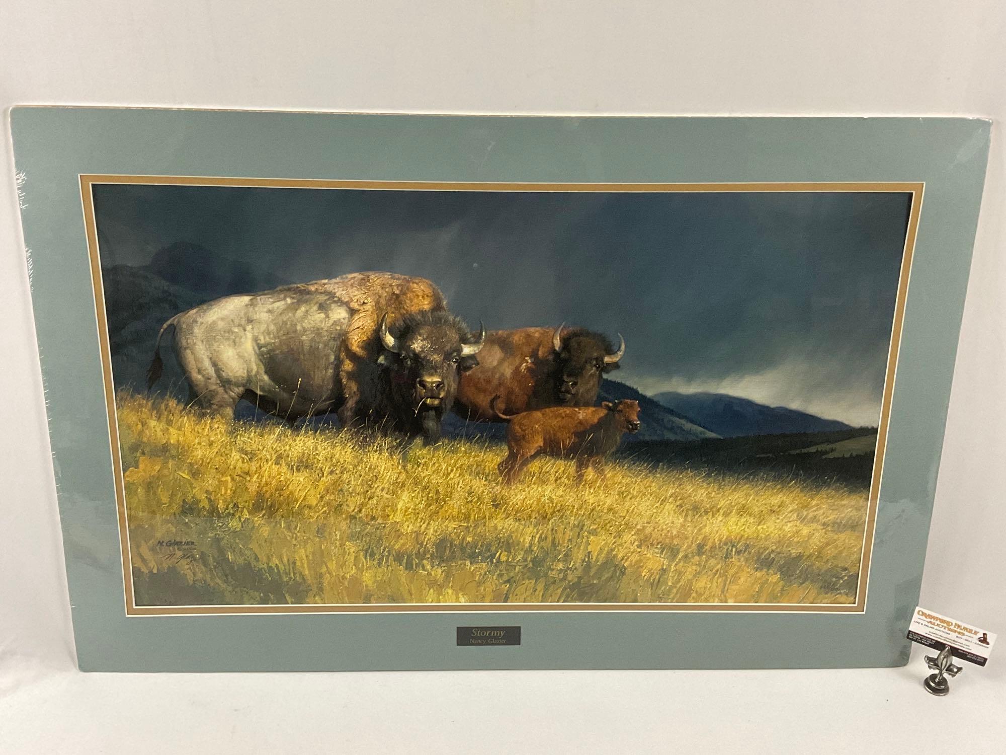 Lg. signed art print of buffalo STORMY by Nancy Glazier, #ed 665/1200