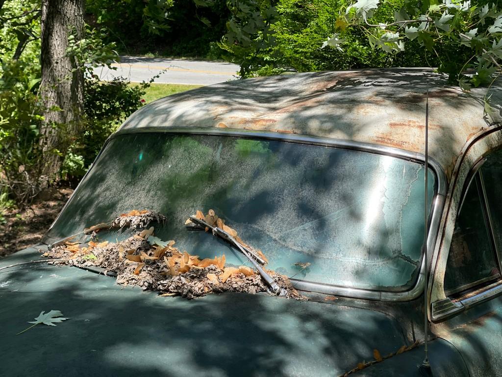 1954 Plymouth Savoy 4 Door Sedan