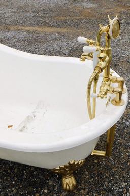 Elegant Cast Iron Bathtub