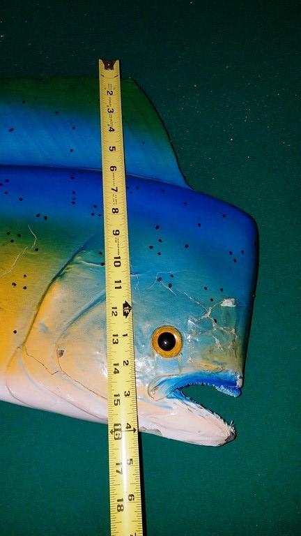 54" LONG BLUE & YELLOW WALL FISH MOUNT