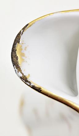 Haviland Limoges 10½" Hot Chocolate Pot - Spout Has Minor Roughness;     12
