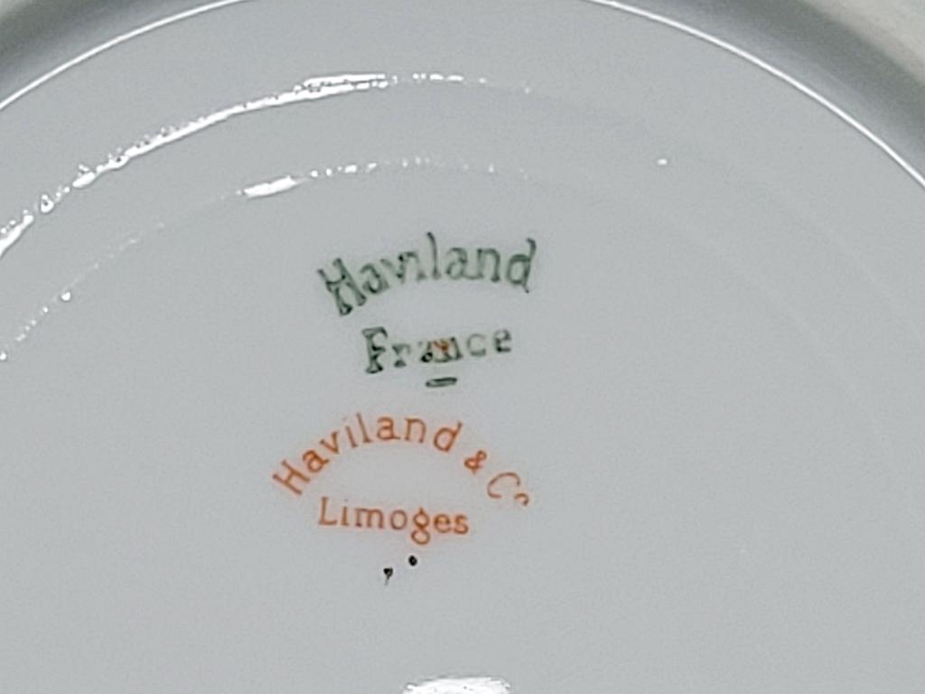 10 Pieces Haviland Limoges China
