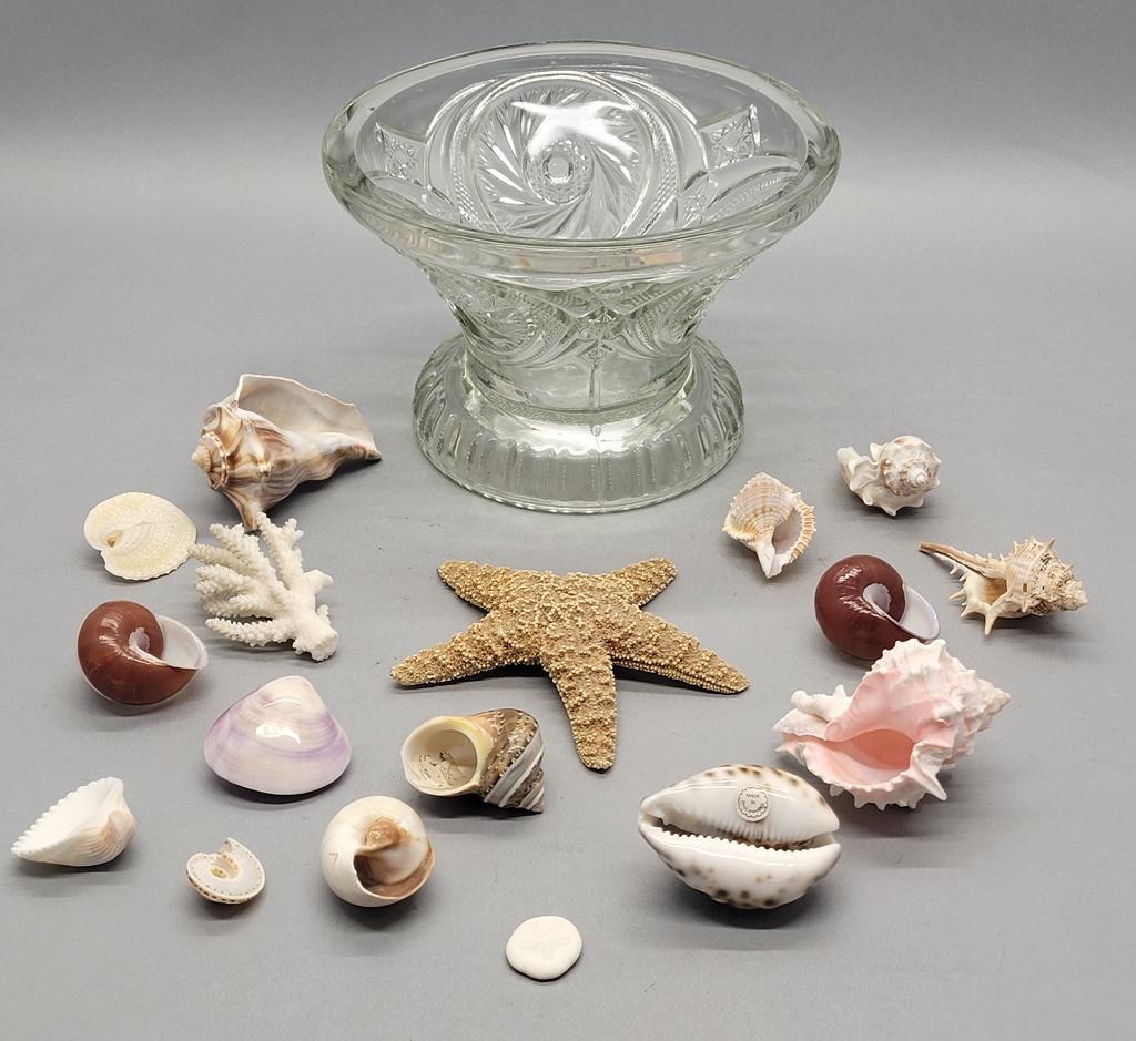 Vintage Pressed Glass Bowl W/ Shells - 6½"x8¾"