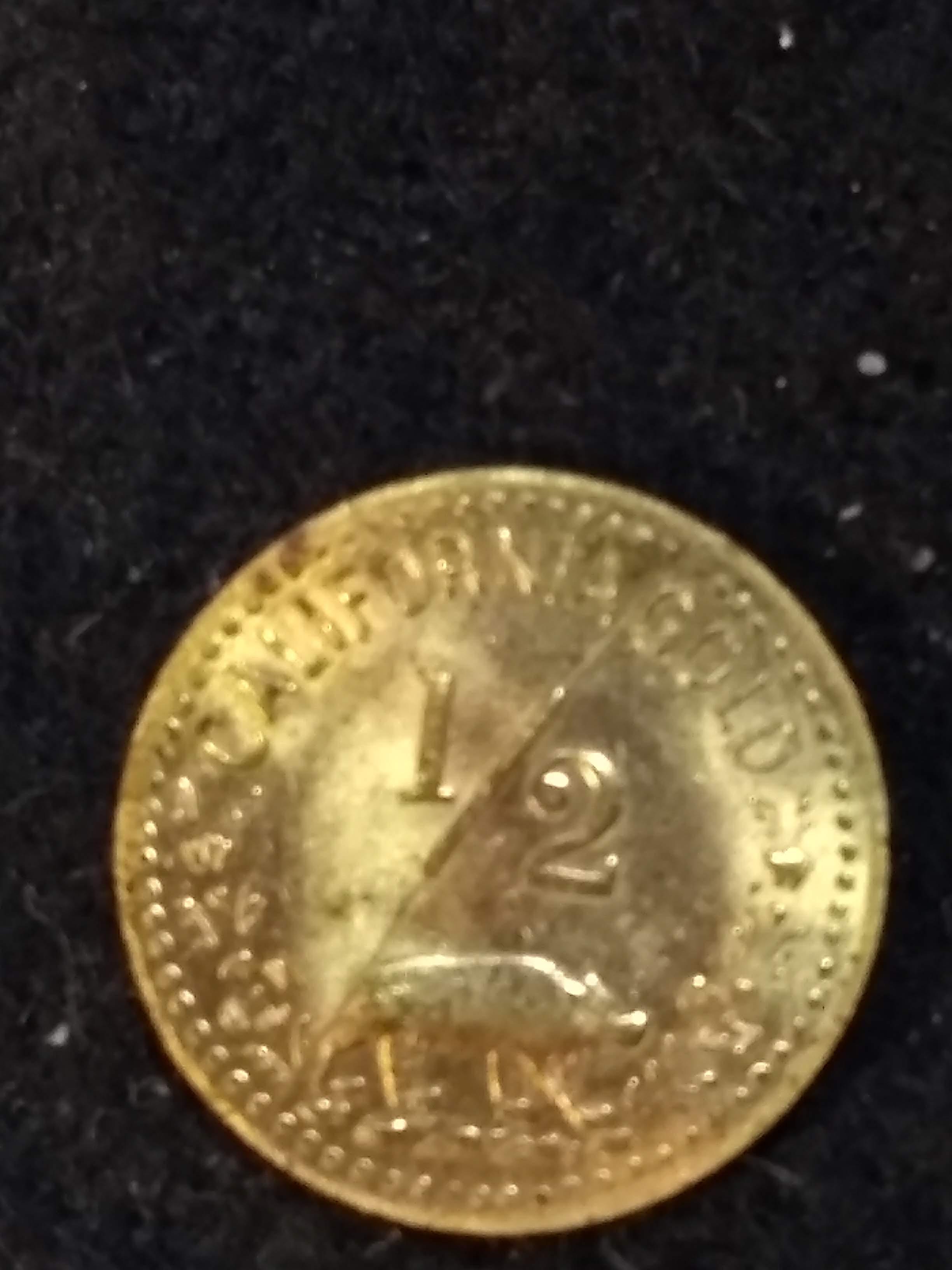 1854 Indian Head Plated 1/2 Dollar Gold Token Coin with Bear