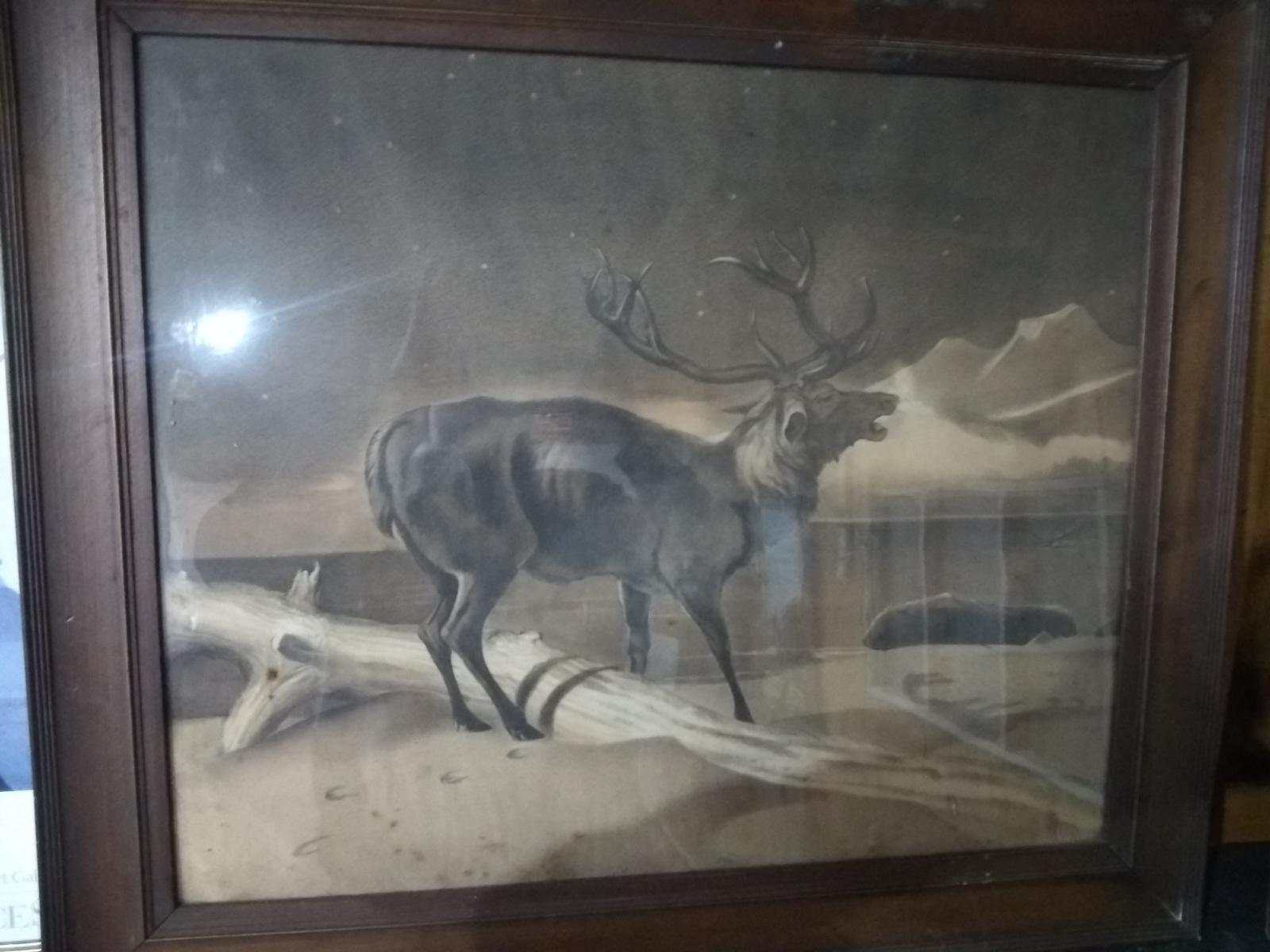 Framed Vintage Print-The Buck