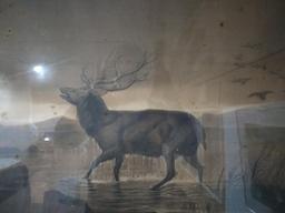 Framed Vintage Print-The Buck