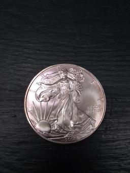 Coin-2009 Standing Liberty Silver Dollar