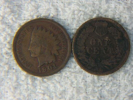(2) 1891 & 1901 Indian Head Cents